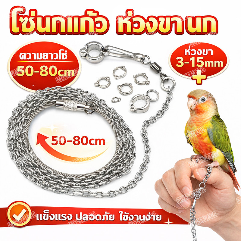 โซ่คล้องขานกสแตนเลส พร้อมห่วงขานก ห่วงนก โซ่นกสายยืดคล้องขานก ขนาด50-80ซมนกแก้วฟอพัสหงษ์หยกเลิฟเบิร์