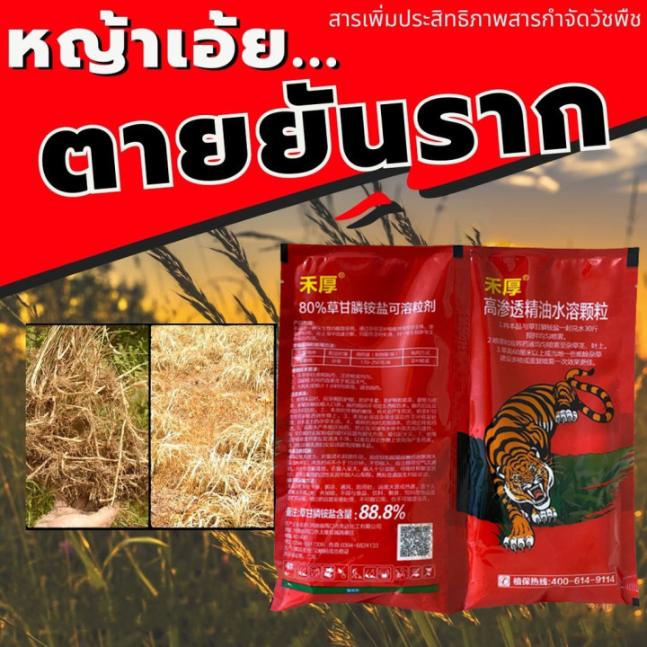 TH Tools สารกำจัดวัชพืช ยาฆ่าหญ้าในนาชนิดเผาไหม้  มีประสิทธิภาพในการกำจัด วัชพืช