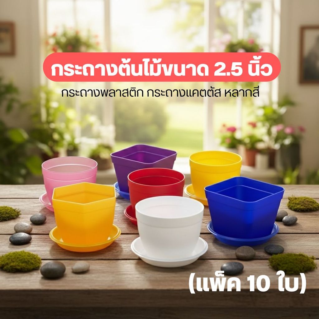 Z1🔥🔥🌵🌵 (แพ็ค 10 ใบ) กระถางต้นไม้ขนาด 2.5 นิ้ว กระถางพลาสติก กระถางแคตตัส หลากสี 🌵 ❤️by innotrend❤️