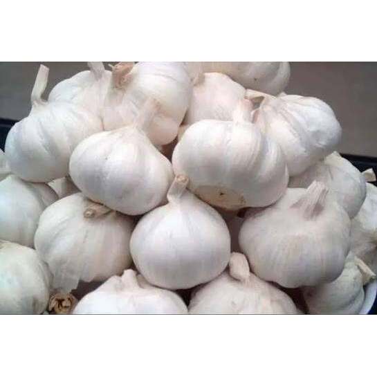 TT กระเทียม/Garlic 500g/1kg