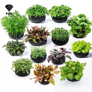 PND 2 ชิ้นถังปลาน้ําหญ้าปลูกการเพาะปลูก Substrate ป้องกันพืชน้ํา Root Aquarium ตกแต่งเครื่องประดับฐาน raoog