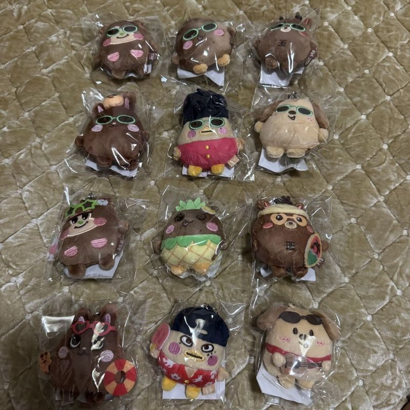 【พร้อมส่ง】riize doll การ์ด ตุ๊กตา อัลบั้ม ตุ๊กตา moshimoshi x riizeRiize Seoul Venue Weekly riize ตุ