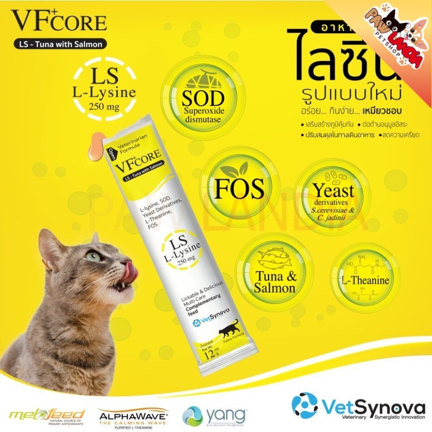 (สีเหลือง) Vf core lysine  เสริมภูมิคุ้มกัน อร่อย กินง่าย 1 ซอง 12 กรัม (ซองสีเหลือง)