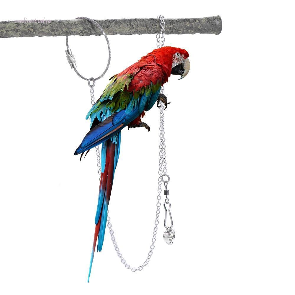 RADIANT Parrot Foot Ring Flying Training Stainless Steel with Swivel Buckle Outdoor Starling Pigeon 