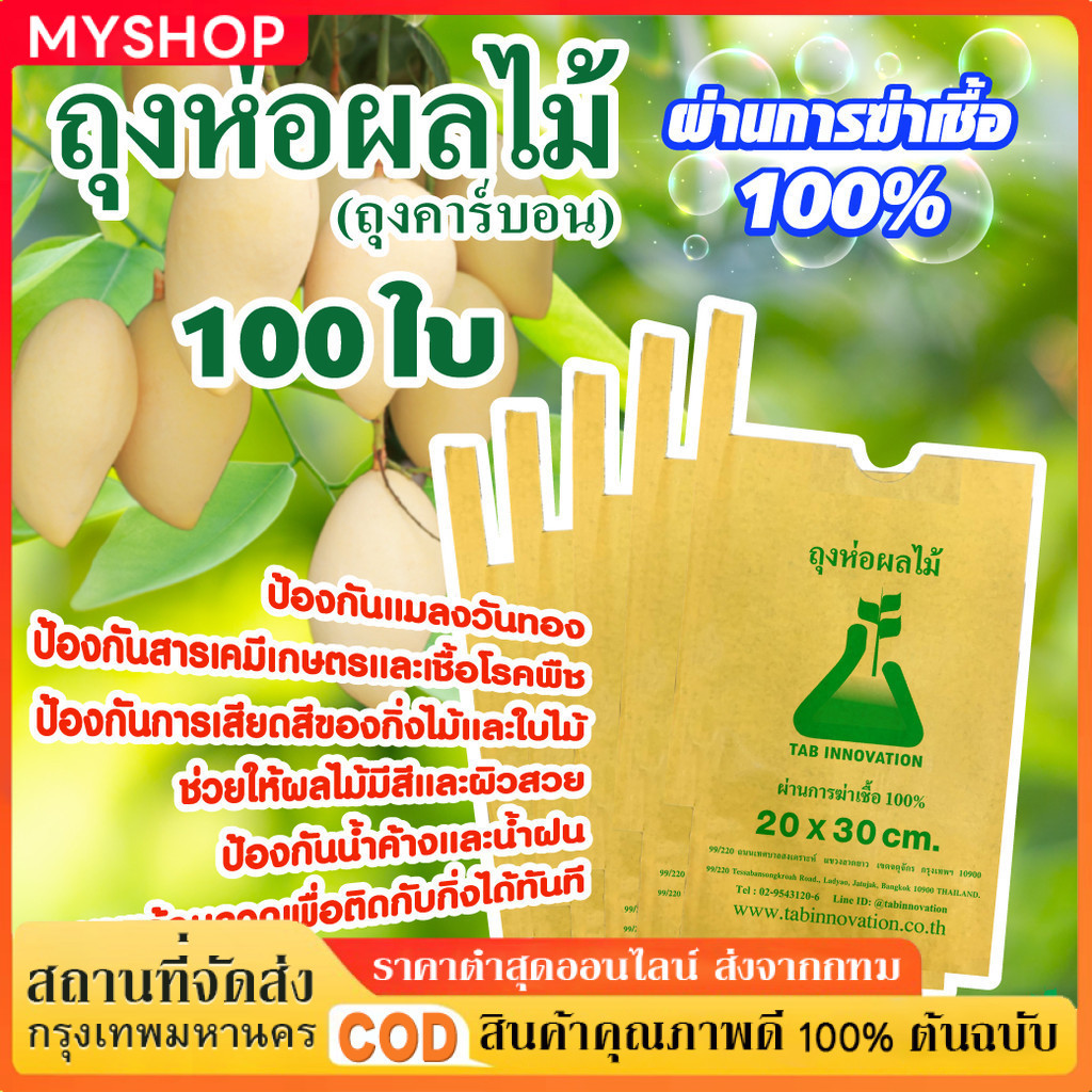 300pcs ถุงกระดาษคาร์บอน ถุงห่อผลไม้ ขนาด 20x30 ซ.ม. จำนวน 100 ใบ ถุงห่อมะม่วง ถุงคาร์บอน ทีเอบี ป้องกันแมลงวันทอง