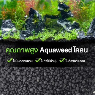 (ส่งด่วนจากกทม.)ดินปลูกไม้น้ำตู้ปลา 2.5KG ดินต้นไม้น้ำ ดินไม่แตก น้ำไม่ขุ่น ปลอดภัยต่อสัตว์น้ำ!