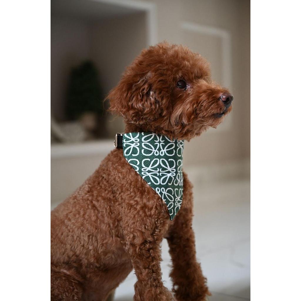 Bark Fifth Avenue Ruffee ปลอกคอสุนัข