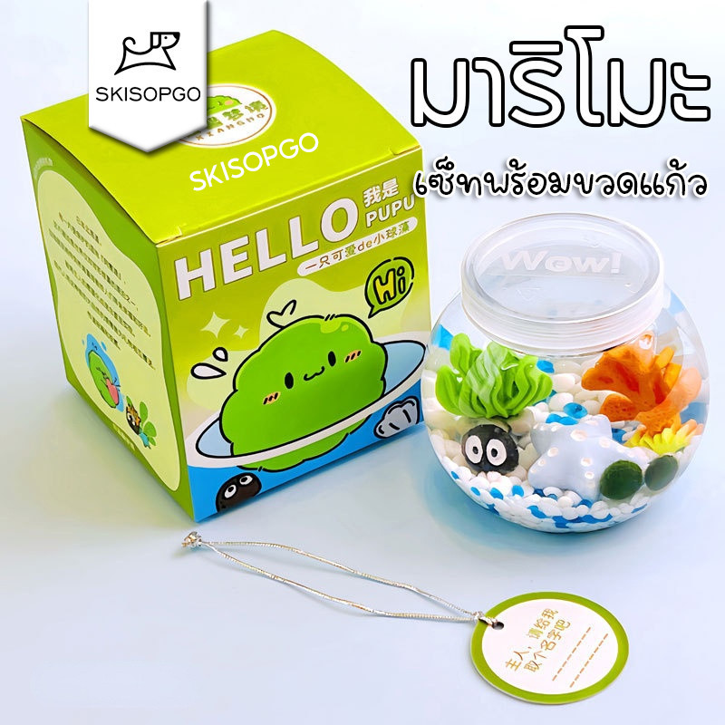 SKISOPGO มาริโมะ เซ็ทพร้อมขวดแก้ว Marimo เหมาะสำหรับให้เป็นของขวัญสำหรับคนที่รัก