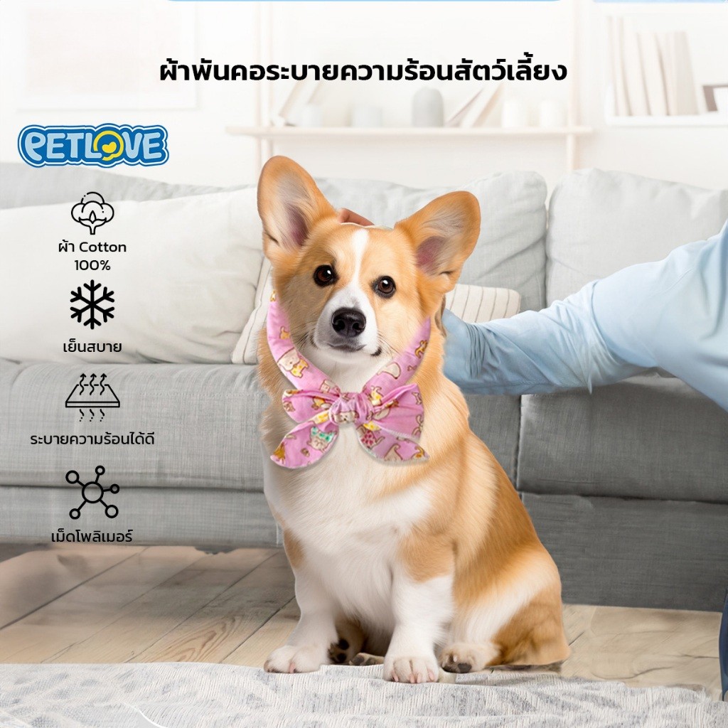 ผ้าพันคอสำหรับสัตว์เลี้ยง มีเม็ดทำความเย็นด้านใน  ผ้าฝ้าย100% ช่วยระบายความร้อน เย็นต่อเนื่อง 8 ชม.