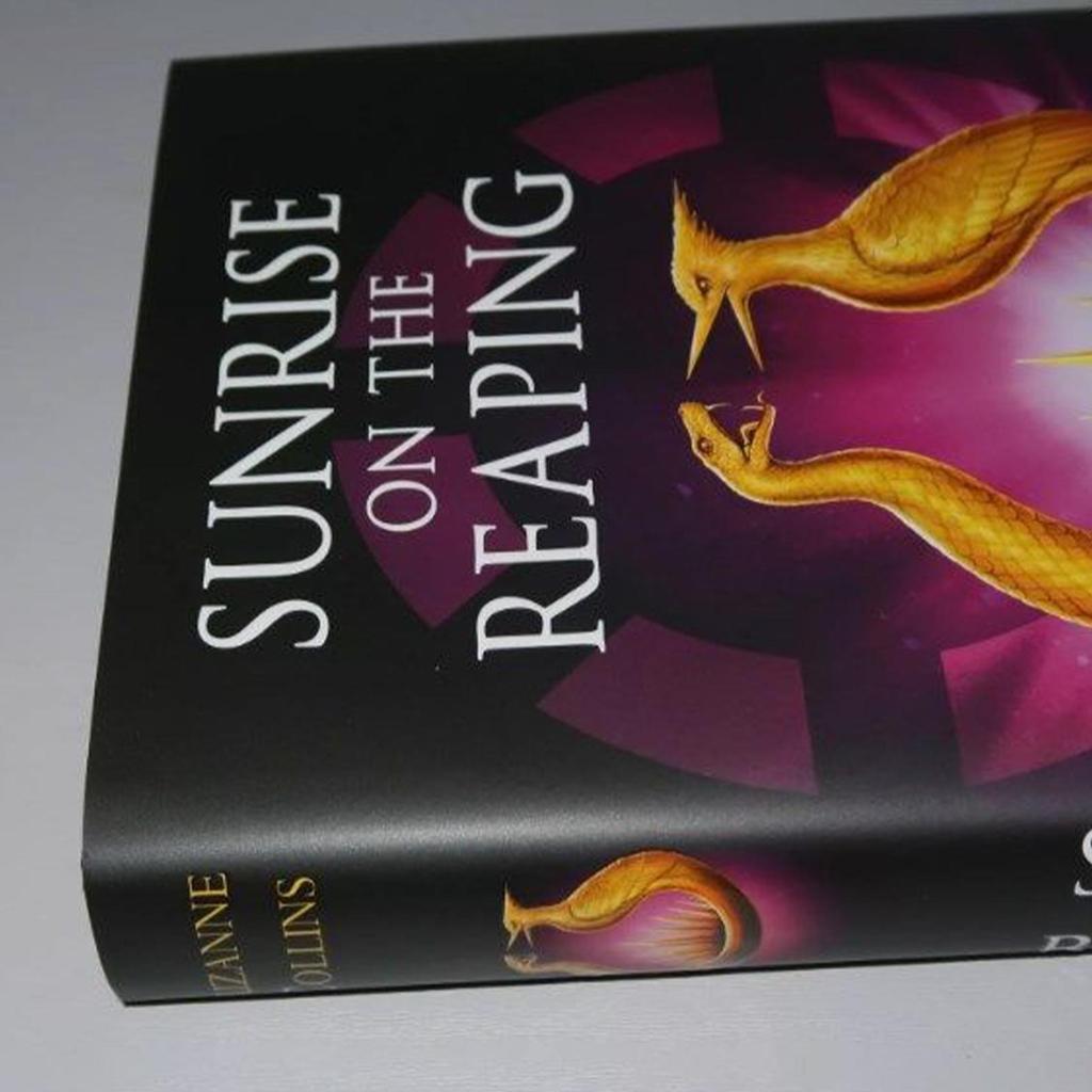 Hardcover Books Dystopian Classic Novel Literature Collectible Adventure Stories for Adults Women Me