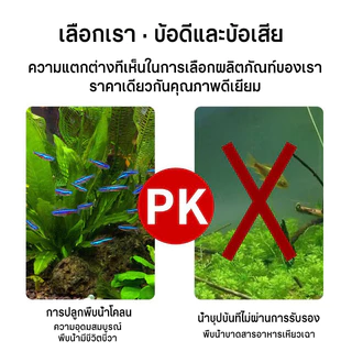 ดินปลูกไม้น้ำตู้ปลา 2.5KG ดินต้นไม้น้ำ ดินไม่แตก น้ำไม่ขุ่น ปลอดภัยต่อสัตว์น้ำ!