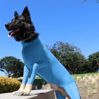 QQ PET เสื้อสัตว์เลี้ยง กันขนร่วงสำหรับสุนัขพันธุ์​กลางและใหญ่ ชุดกันขนร่วง รุ่นBodySuitมีซิป เสื้อผ้าสี่ขา
