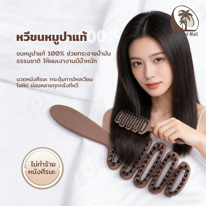 หวีขนหมูป่าแท้ จากเกาหลี หวีลดผมร่วง แก้ผมพันกัน ลดไฟฟ้าสถิตย์ หวียกโคนผม แปรงหวีผม แปรงจัดแต่งทรงผมขนหมูป่าแท้