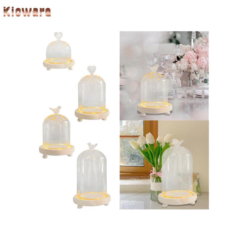 [Kloware] Glass Cloche Dome Transparent Dome Cloche Office Micro Landscape Holder DIY