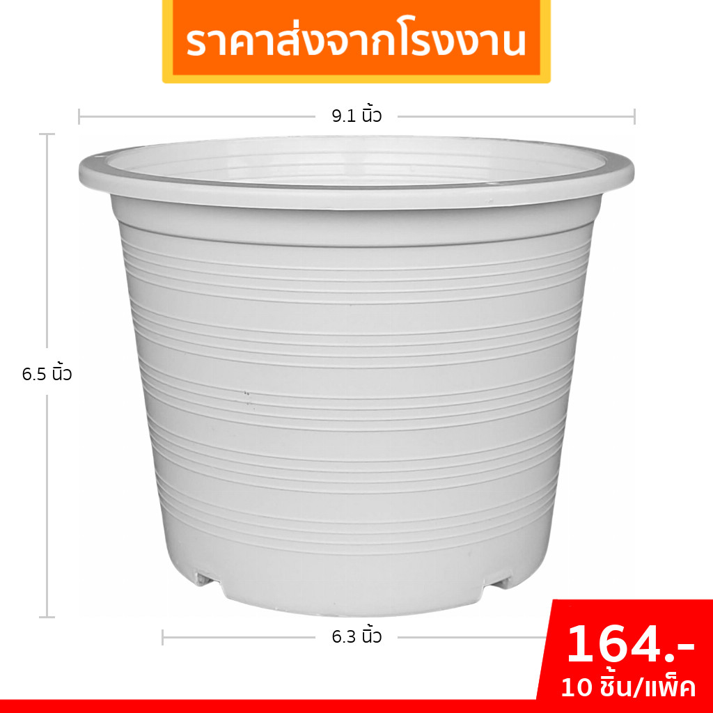 กระถาง กระถางทรงถ้วย กระถางเตี้ย ขนาด เบอร์ 10 9.5 นิ้ว สีดำ ยกมัด 10 ใบ - รูปที่ 6