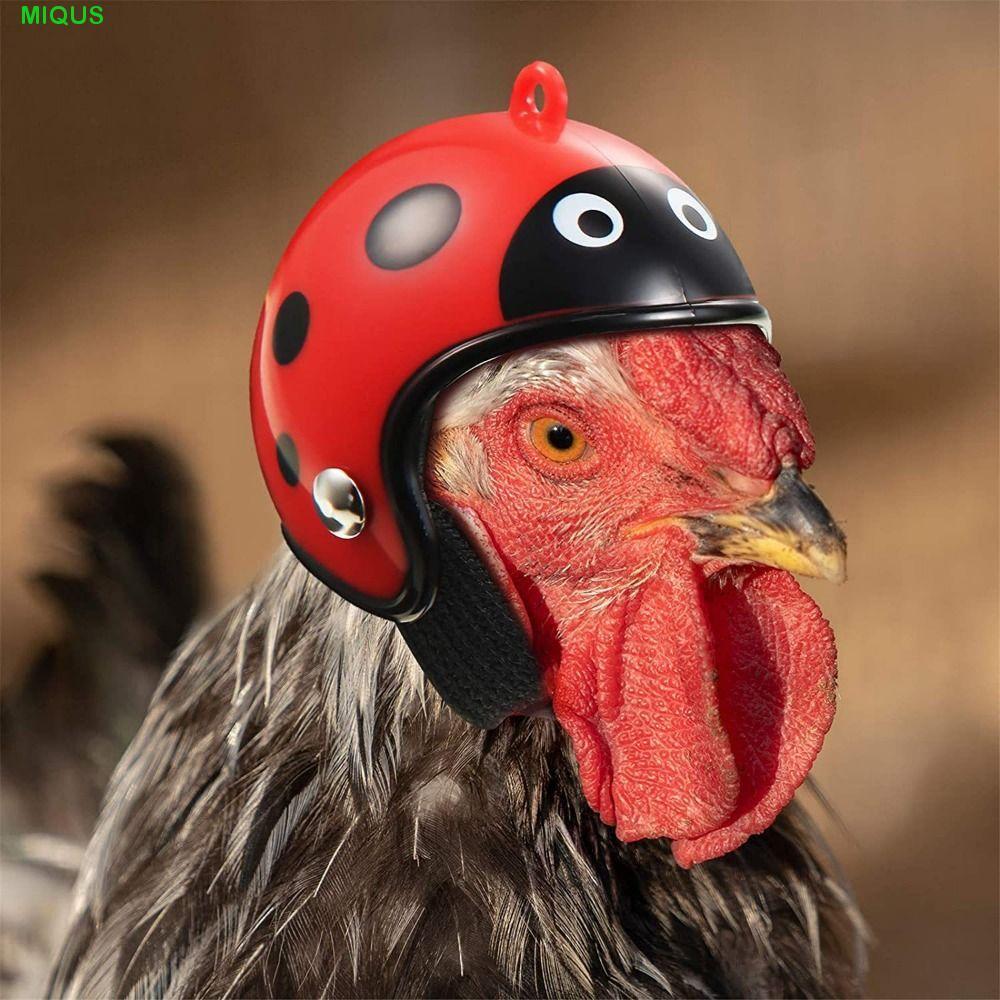 หมวกกันน็อคไก่สัตว์เลี้ยง MIQUS, ป้องกันแสงแดดสําหรับนก นกกระทา นกพิราบ, พลาสติกการ์ตูนแข็ง