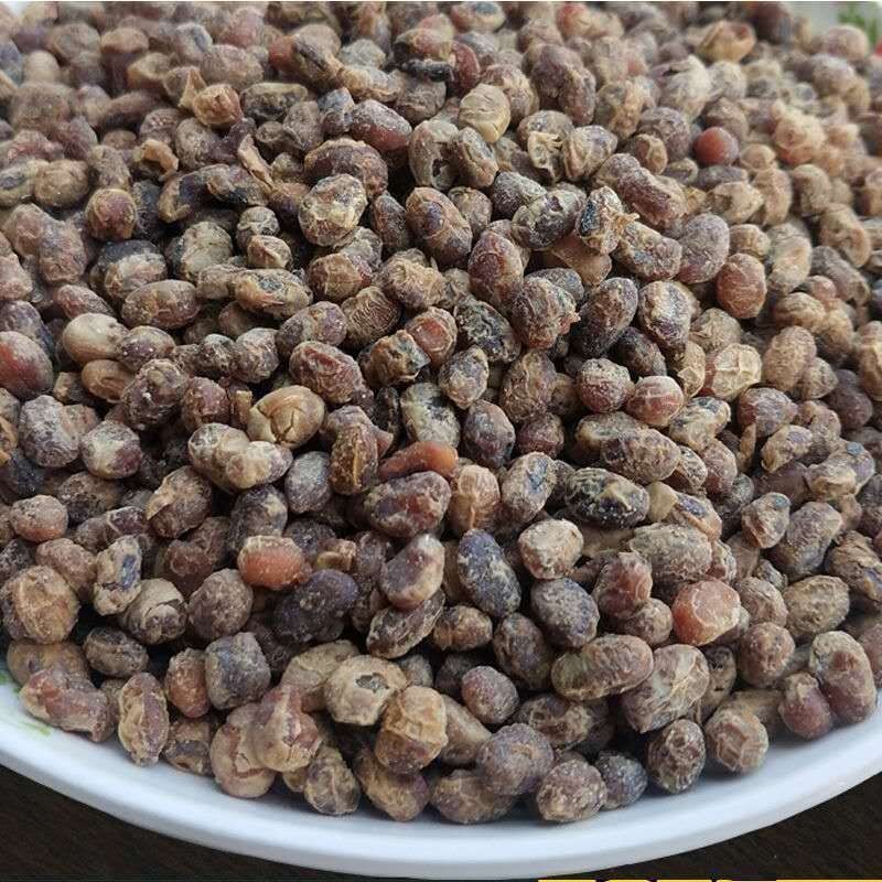 ซอส เครื่องปรุงอาหารสูตรพิเศษ พร้อมสต็อก.. คําแนะนําสินค้า] ผลิตในประเทศจีน...Stinky Tempeh Soy Dry 