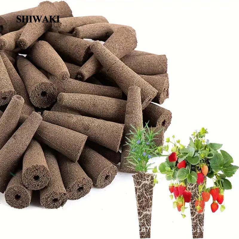 [คลังสินค้าพร้อม] 50 ชิ้นเติบโตฟองน้ําปลั๊ก Rooter ทั่วไปใช้งานง่ายอุปกรณ์ระบบปลูก