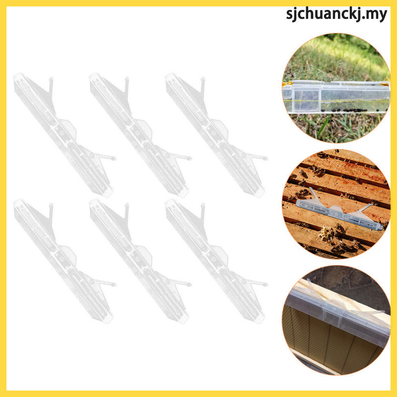 6 ชิ้นพลาสติกใส Hive ด้วงกับดักสําหรับการเลี้ยงผึ้งด้วงสะสม sjchuanckj