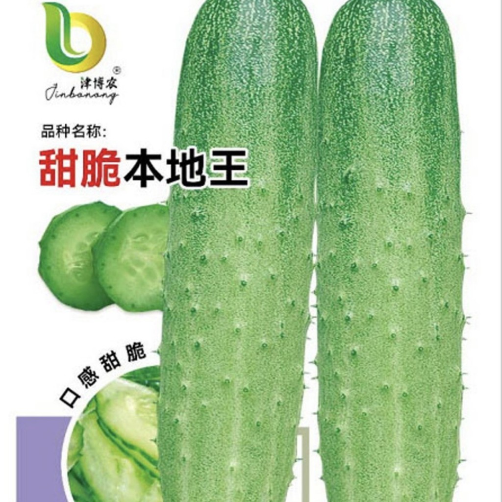 现货热卖本地黄瓜种子水果旱黄瓜脆甜春秋季农家田园阳台盆栽蔬菜种孑Local cucumber seeds, fruit-type drought-resistant cucumbers, crisp 