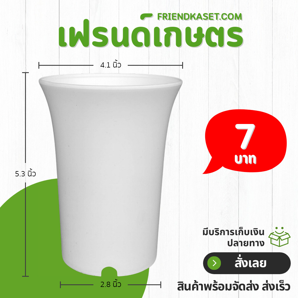 กระถาง กระถางแคคตัส กระถางปากแตร 4 นิ้ว สีขาว ขั้นต่ำ 10 ใบ ชิ้น อัน