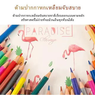 ตัวถังพลาสติกสีสันสดใสกระบอกสีสันสดใสดินสอกดน้ำมันศิลปะพิเศษ 12 / 18 / 24 สีระบายสี