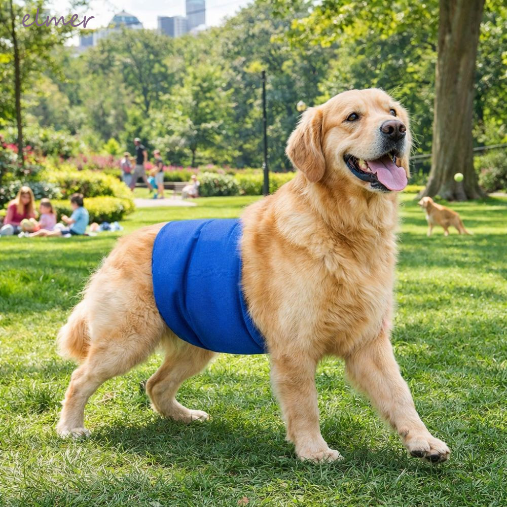 ELMER ผ้าอ้อมสุนัขชาย, กางเกงสรีรวิทยาสุนัขซักได้สูง, อุปกรณ์สัตว์เลี้ยงสะดวกสบายป้องกันการรั่วระบาย
