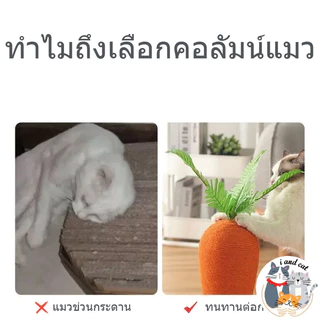 ที่ลับเล็บแครอท ลับเล็บแมว ของเล่นแมว หวายแมว โครงปีนแมว ฝนเล็บแมว อุปกรณ์แมว cat condo แมว ราคาถูก