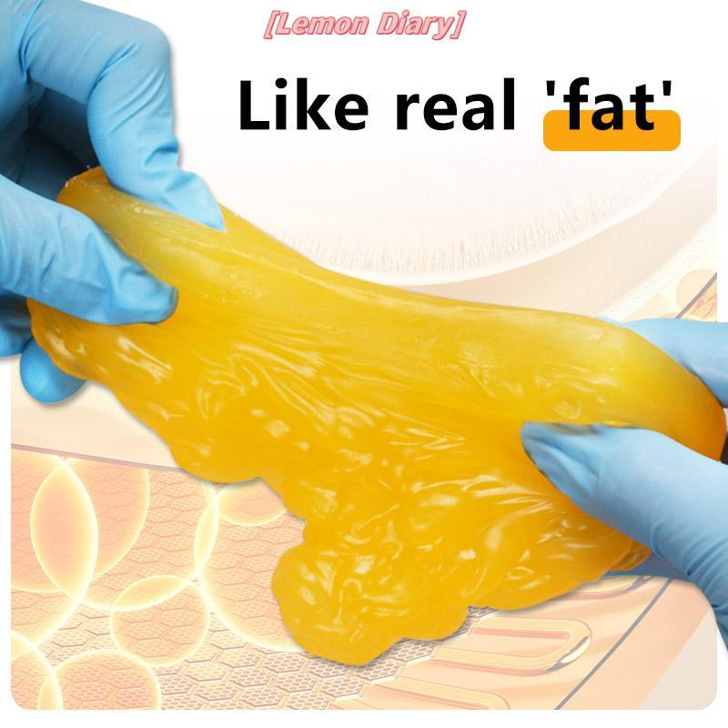 แอลดี| Fat Replica Fatty Tissue Model Human Body Fat Replica 1lb Human Fatty Tisstation Model สําหรับหลักสูตรวิทยาศาสตร์ทางโภชนาการใหม่