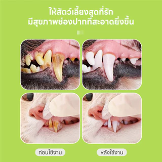 Doge&Orange แปรงสีฟันสวมนิ้ว แปรงสีฟันซิลิโคนแมว สุนัข ลดคราบหินปูน ปลอดภัยกับเหงือกและฟัน PU186