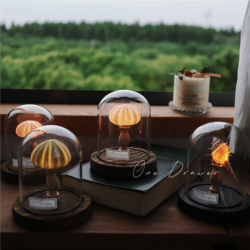 Ocean Seabird Retro Shell Sea Urchin Conch Light Night Light เครื่องประดับ Handmade Sea Urchin Night