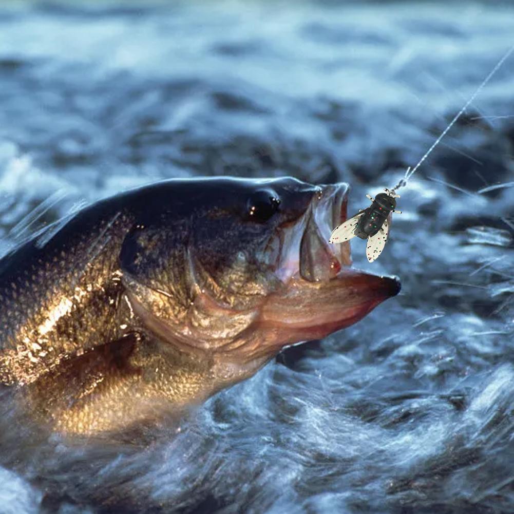 Fly Fishing Fly Kit ยาง Fly Fishing Lures Barbed Hooks สําหรับเบสปลาเทราท์ปลาแซลมอน Biomimetic P4c1