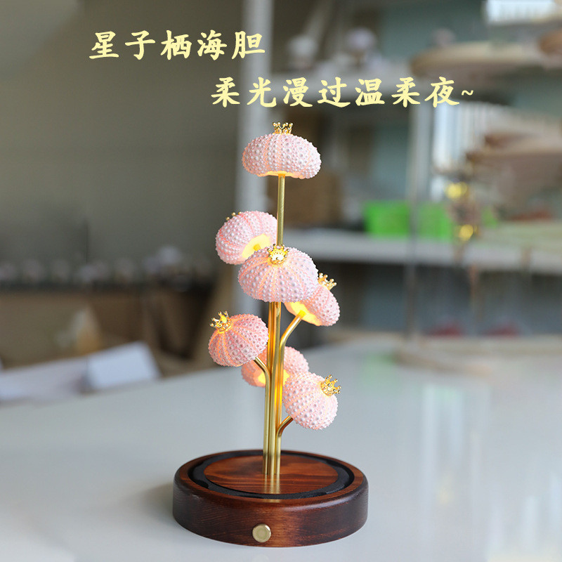 ไฟกลางคืนเม่นทะเล Seven Star Sea Urchin Light Retro Night Light Sea Urchin Light ของขวัญตัวอักษรฟรี 