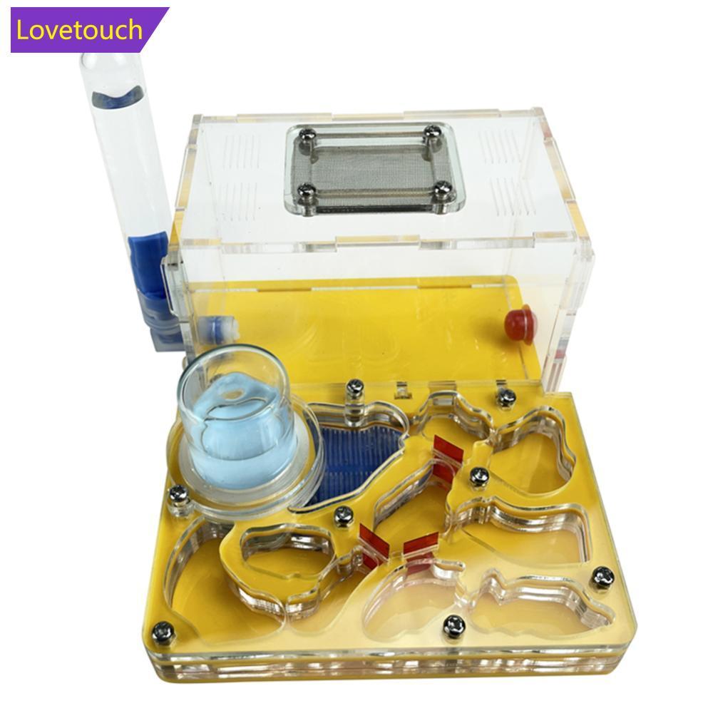 LOVETOUCH T Design DIY Acryl Flat 3D Ant Farm Ant Nest พร้อมพื้นที่ให้อาหาร Ant House แมลง Villa สัต