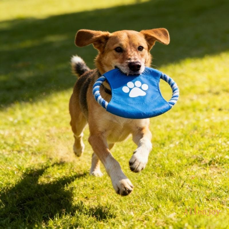 JOY Engaging Flying Disc สําหรับสุนัขสัตว์เลี้ยงเพื่อกระตุ้นการฝึกฟิตเนสทางกายภาพและเวลาเล่น Enjoyme