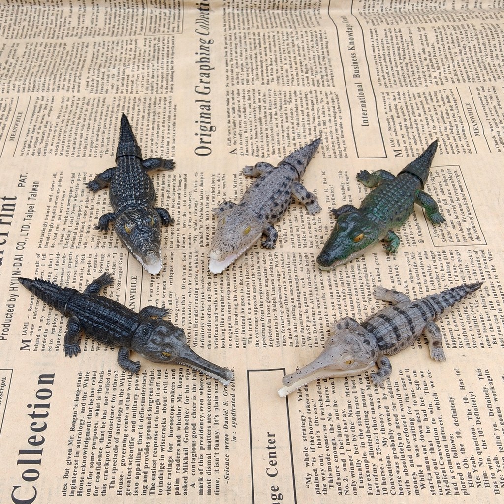 สินค้าจํานวนมากของแท้ Bandai Biological Big Illustrated Book Crocodile Nile Crocodile Ganges Crocodi