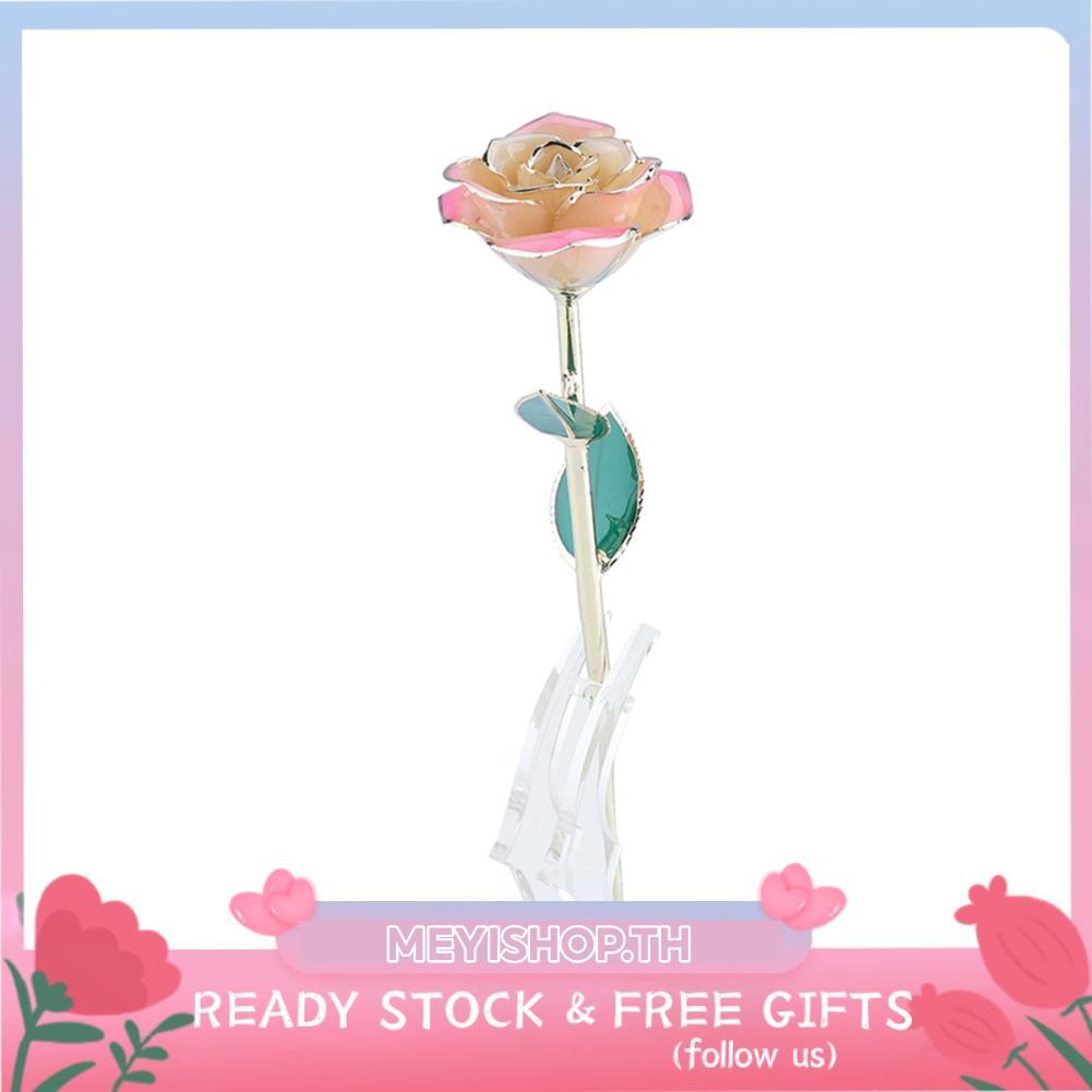 meyishop ZJchao Pink White Gold Rose Love Forever Long Stem 24k Dipped Gifts for Her (สีขาว-ชมพู)