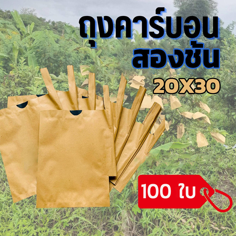 300pcs ถุงกระดาษคาร์บอน ถุงห่อผลไม้ ขนาด 20x30 ซ.ม. จำนวน 100 ใบ ถุงห่อมะม่วง ถุงคาร์บอน ทีเอบี ป้องกันแมลงวันทอง - รูปที่ 7
