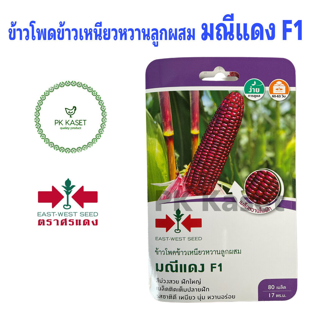 เมล็ดข้าวโพด ข้าวเหนียวหวานลูกผสม ม่วง มณีแดง F1 ศรแดง ซองแข็ง 80 เมล็ด ผักสวนครัว