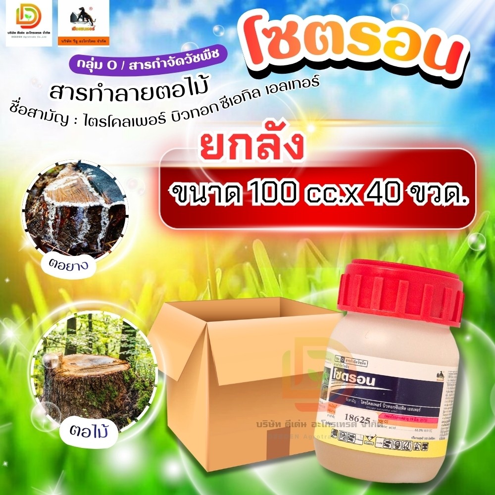 (ยกลัง100cc*40) โซตรอน #ไตรโคเพอร์ ยาทาตอ กำจัดไม้ใหญ่ ยืนต้นตาย ตราเสือดำ