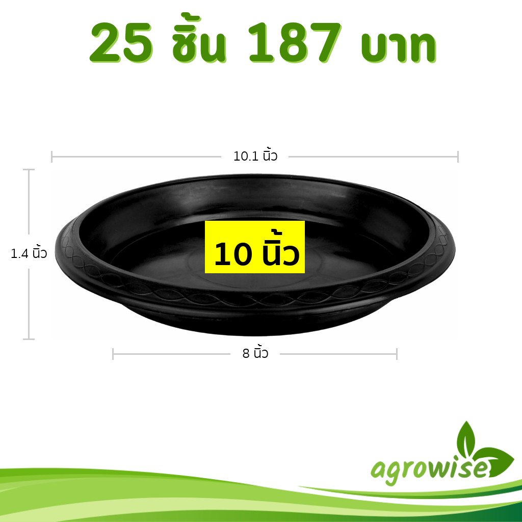 กระถาง กระถางต้นไม้ กระถางขาว เบอร์ 12 นิ้ว สีขาว 10 ใบ ชิ้น ยกมัด - รูปที่ 2