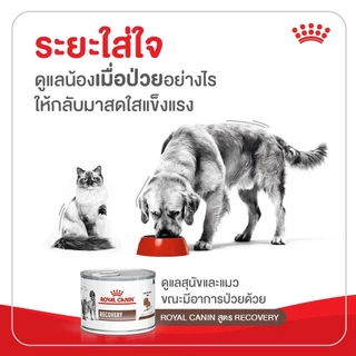 Royal Canin Recovery อาหารเปียกประกอบการรักษา สัตว์ป่วย หรือพักฟื้นหลังผ่าตัด กระป๋อง 195g