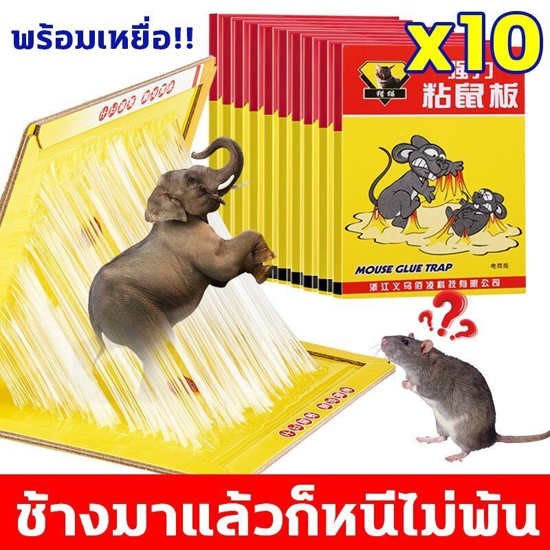 【จัดส่งในกรุงเทพฯ】กาวดักหนู แน่นๆ 10 / 30 ชิ้น Super Adhesive ติดทน ไม่ไหลเยิ้ม ปลอดสารพิษ แผ่น ขับไล่หนูได้ง่าย เหนชนิด