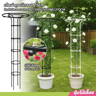 🌲ซุ้มไม้เลื้อย ทรงร่ม วัสดุเหล็กเคลือบ PE กันสนิม ขนาด 95-14…