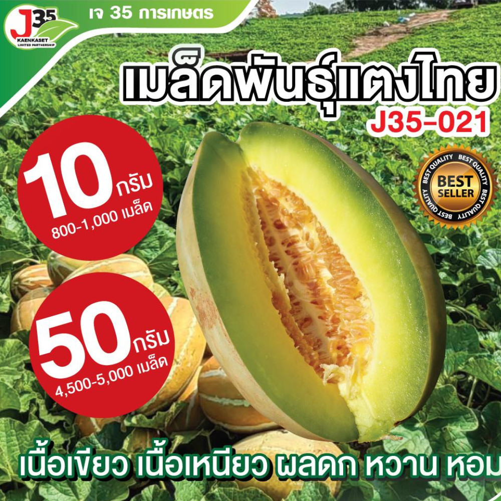 (10,50กรัม) เมล็ดพันธุ์แตงไทยสิงคโปร 021 แท้ แตงไทยเนื้อเขียว แตงไทยไทยเนื้อเหนียว หวาน หอม  แตงไทยพุ์ดก
