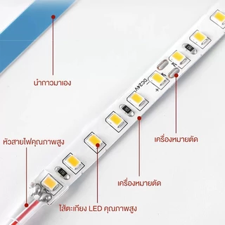 แถบริบบิ้นไฟ Led 120 ดวง DC12V ยาว 5ม. สามารถตัดได้ ยืดหยุ่น แถบไฟ Led Strip แถบไฟวิ่ง สําหรับตกแต่งรถยนต์