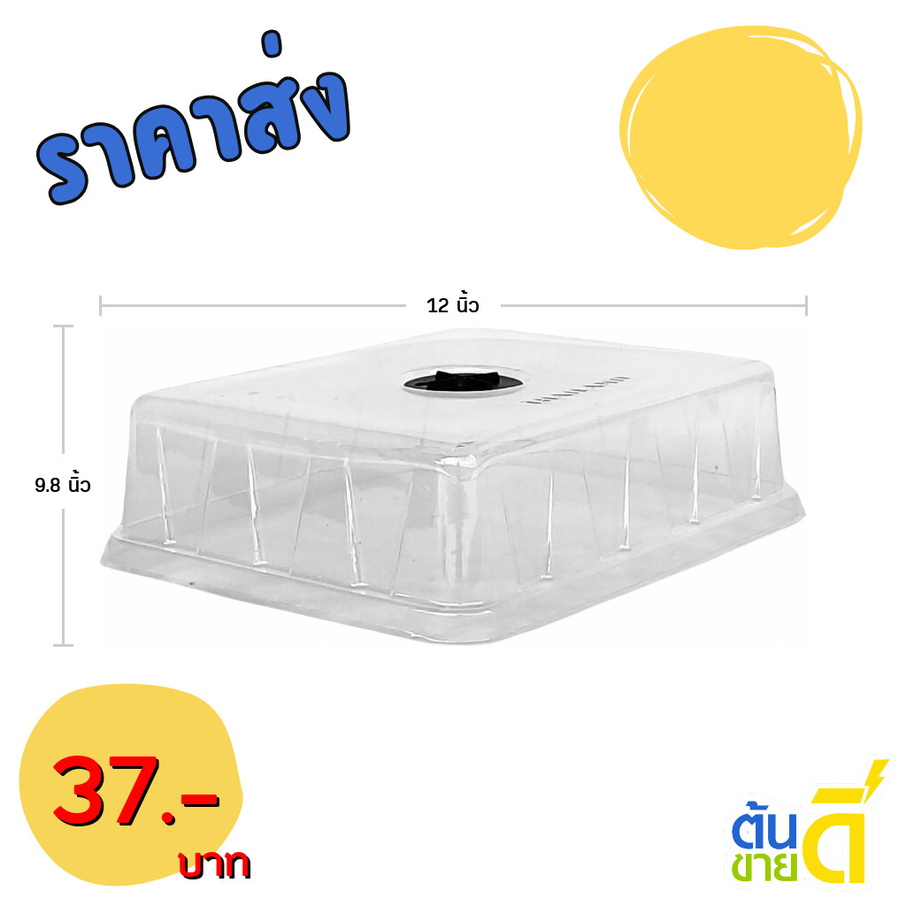 กระถาง ถาดเพาะไดโซะ ใส่กระถางต้นไม้ XL ( รู ) สีดำ ขั้นต่ำ 5 ใบ ชิ้น อัน - รูปที่ 4