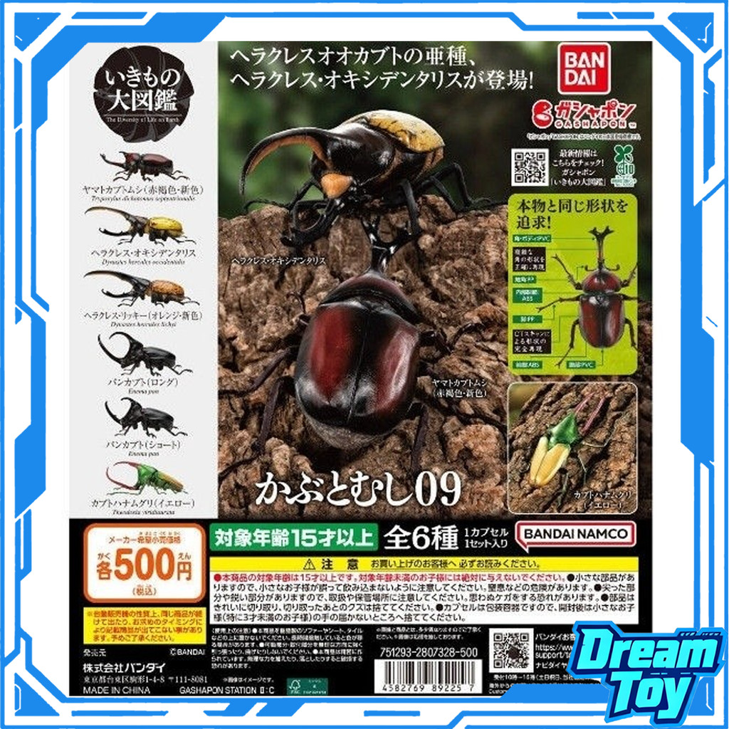 Bandai GASHAPON Biological Big Illustrated Book Beetle 09 Big Beetle Short-Horned Rhinoceros Beetle [PREMIUM GASHAPON]