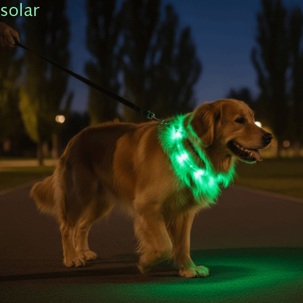 SOLARBUR ปลอกคอไฟ LED สัตว์เลี้ยง,ปลอกคอเรืองแสงสุนัขแบบปรับได้ยาวนาน, ชาร์จ USB ที่ถอดออกได้กันน้ําปลอกคอสัตว์เลี้ยงป้องกันการสูญหายสภาพแสงน้อย