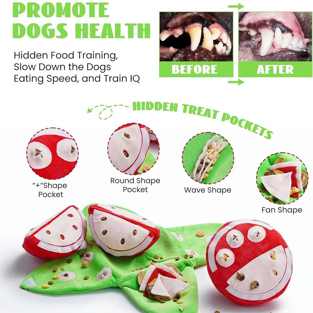 Squeaky Dog Plush Chew Toy Soft Fabric for Small Medium Large Dogs Training Reward Companion
